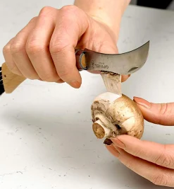 Lee Valley Harvesting>Opinel Mushroom Knife