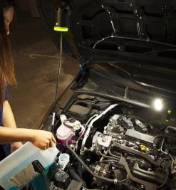 Lee Valley Lighting><noscript><img width=