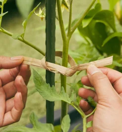 Lee Valley Ties & Clips>Paper Ties Roll