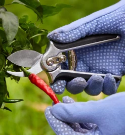 Lee Valley Pruners>Pocket Pruner