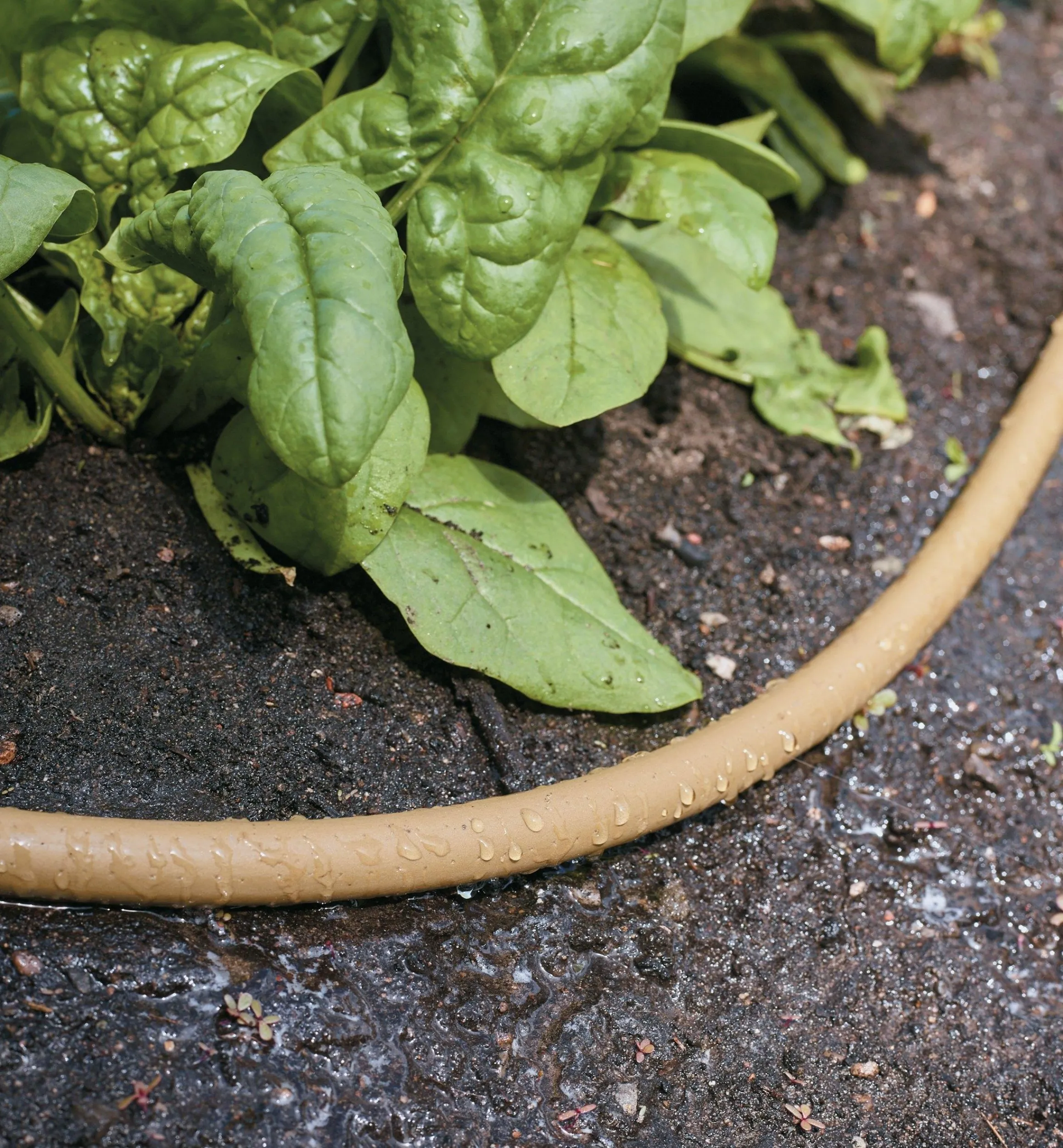 Lee Valley Hoses & Accessories>Polyurethane Soaker Hose