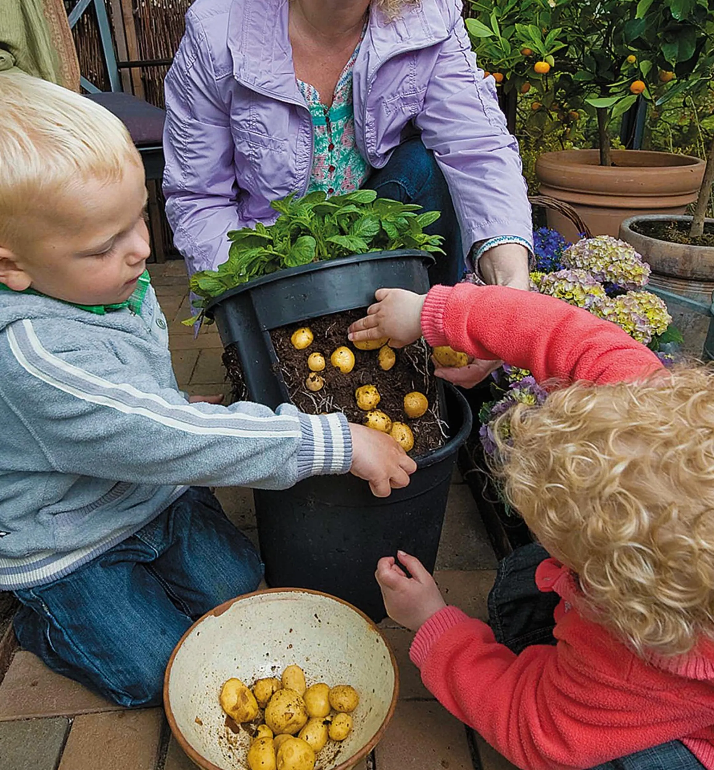 Lee Valley Harvesting>Potato Pot