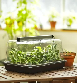 Lee Valley Seed Starting>Propagation Tray, Dome, Grow Light & Timer Set