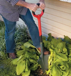 Lee Valley Spades>Radius Root-Cutter Transplant Spade