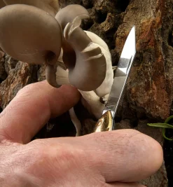 Lee Valley Knives><noscript><img width=