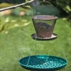 Lee Valley Birding>Seed Saucer