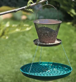 Lee Valley Birding>Seed Saucer