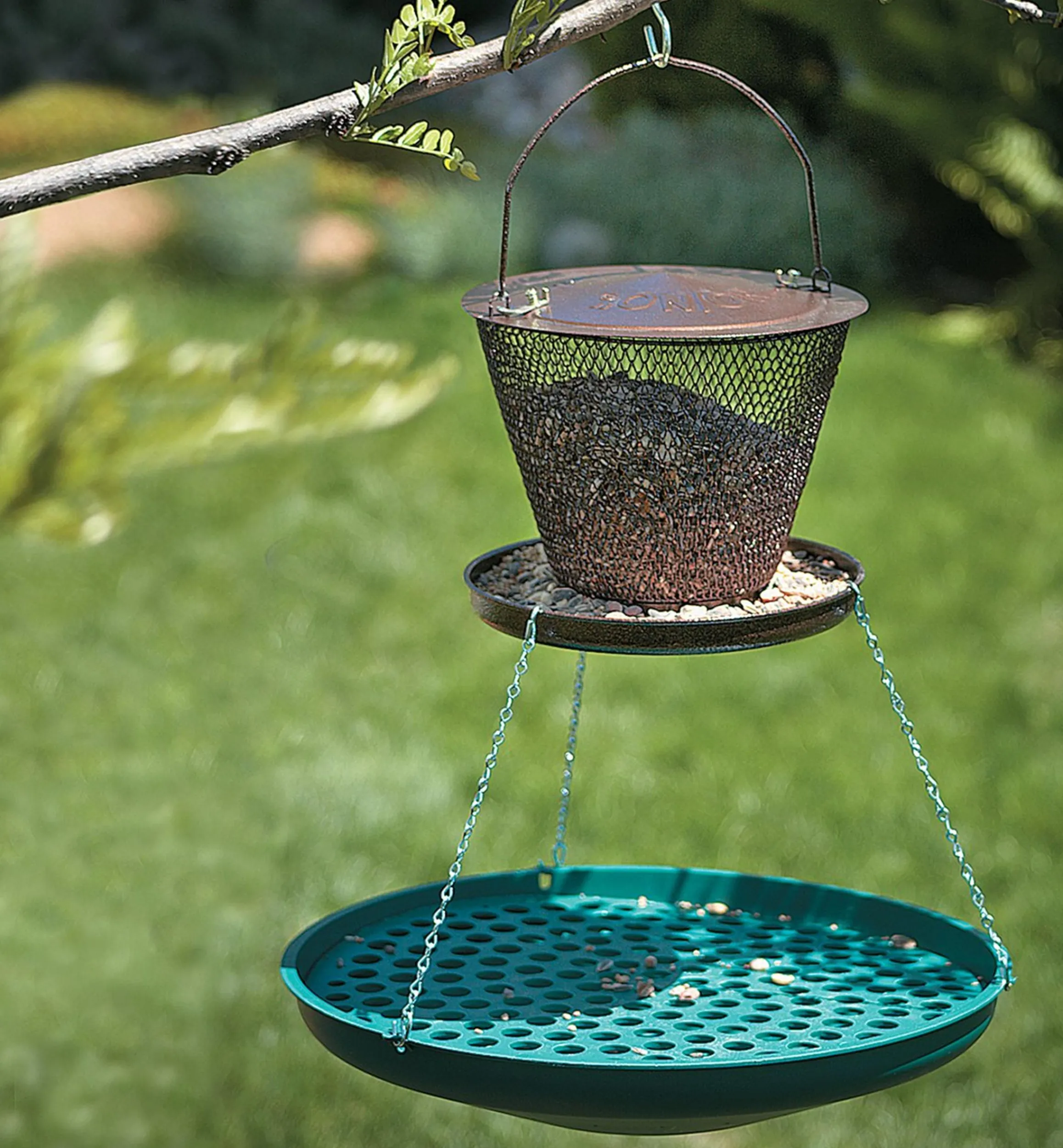 Lee Valley Birding>Seed Saucer