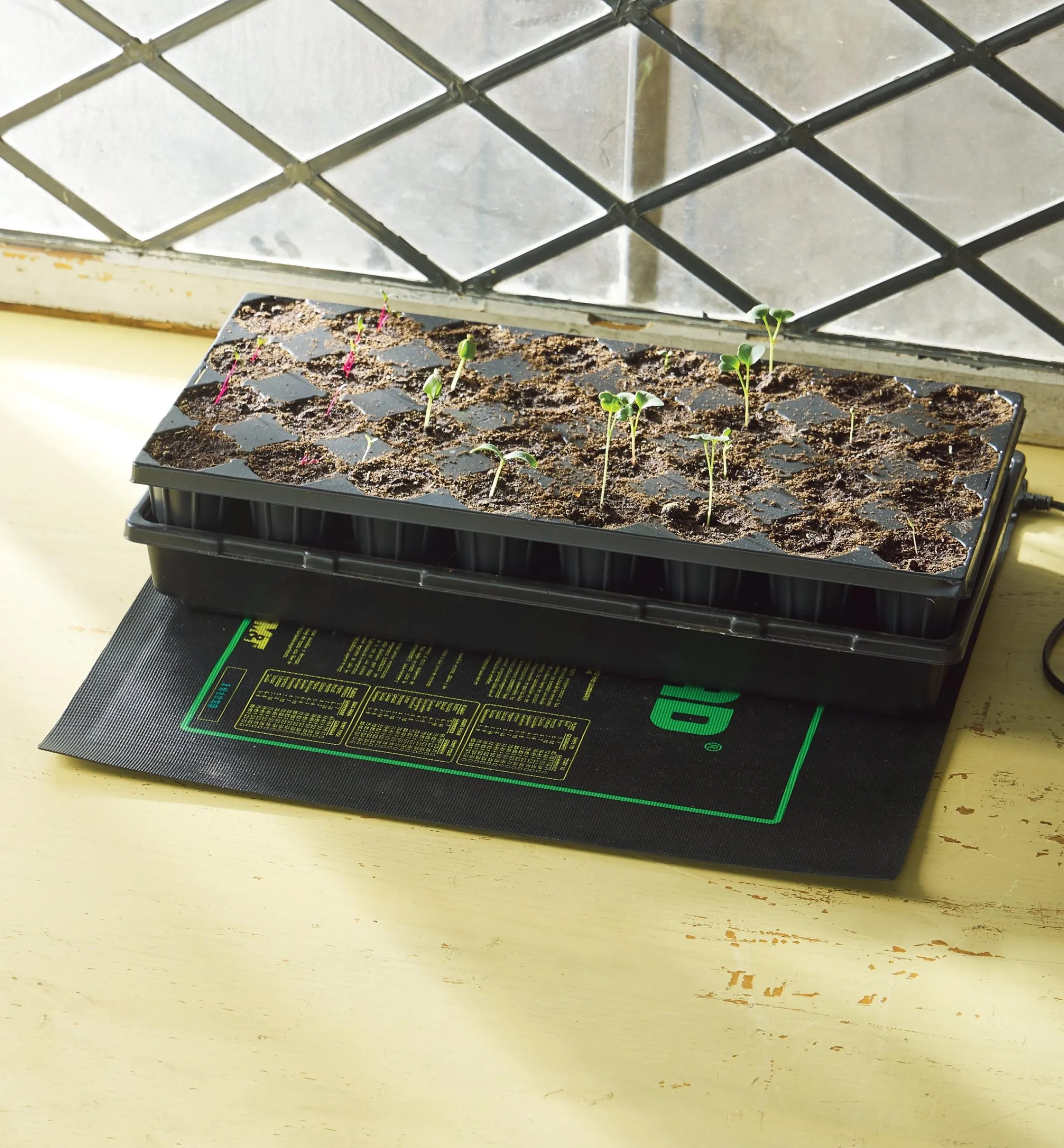 Lee Valley Seed Starting>Seedling Heat Mats
