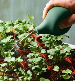 Lee Valley Indoor Gardening>Seedling Sprayer