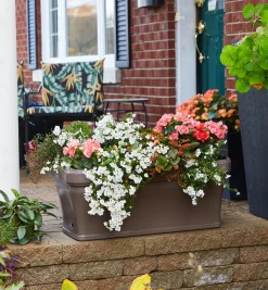 Lee Valley Container Gardening><noscript><img width=