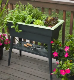 Lee Valley Container Gardening>Self-Watering Raised Planter