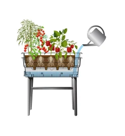 Lee Valley Container Gardening><noscript><img width=