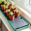 Lee Valley Indoor Gardening>Self-Watering Windowsill Tray