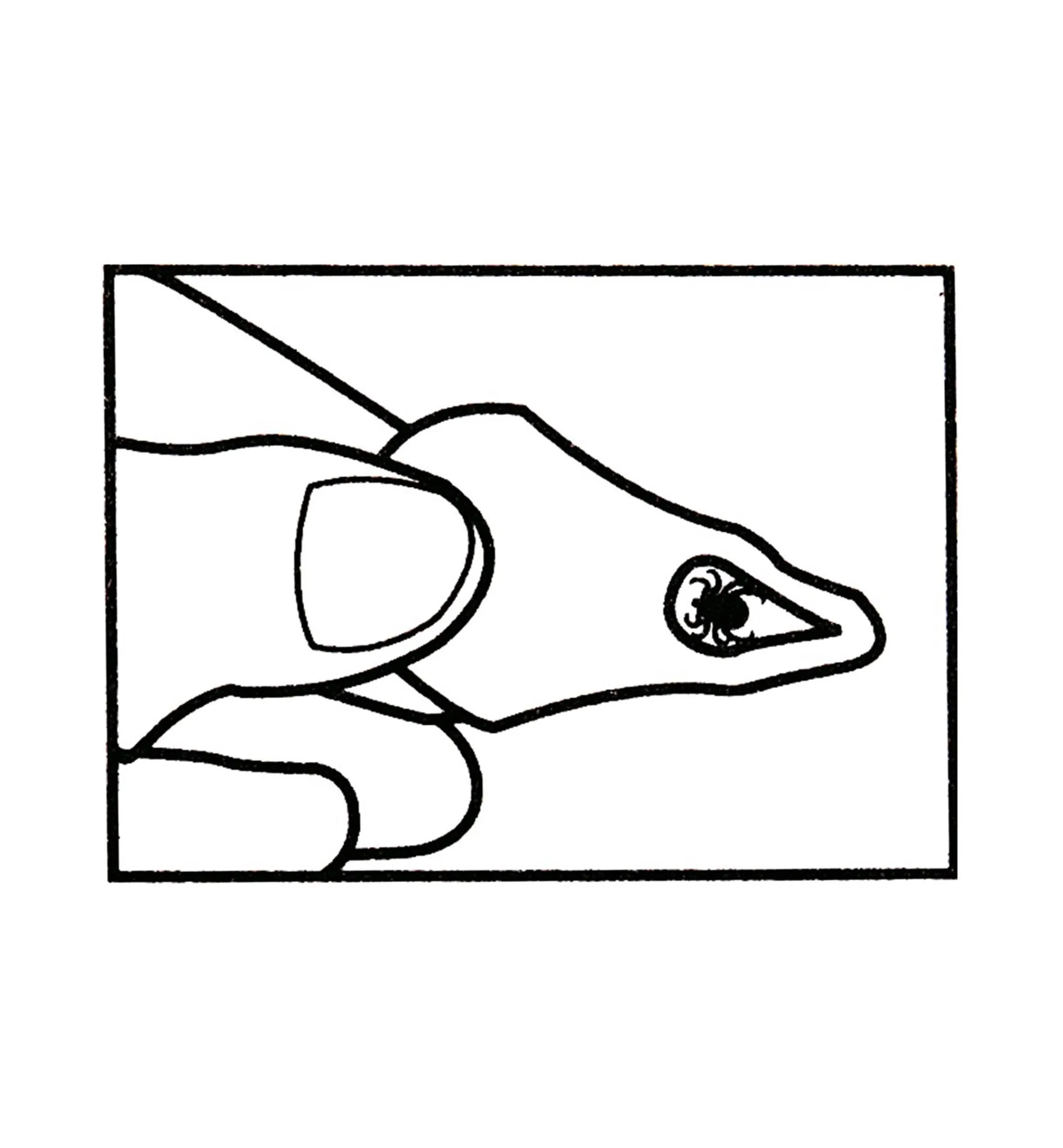 Lee Valley Pest Control>Set Of 3 Tick Key Tick Removers