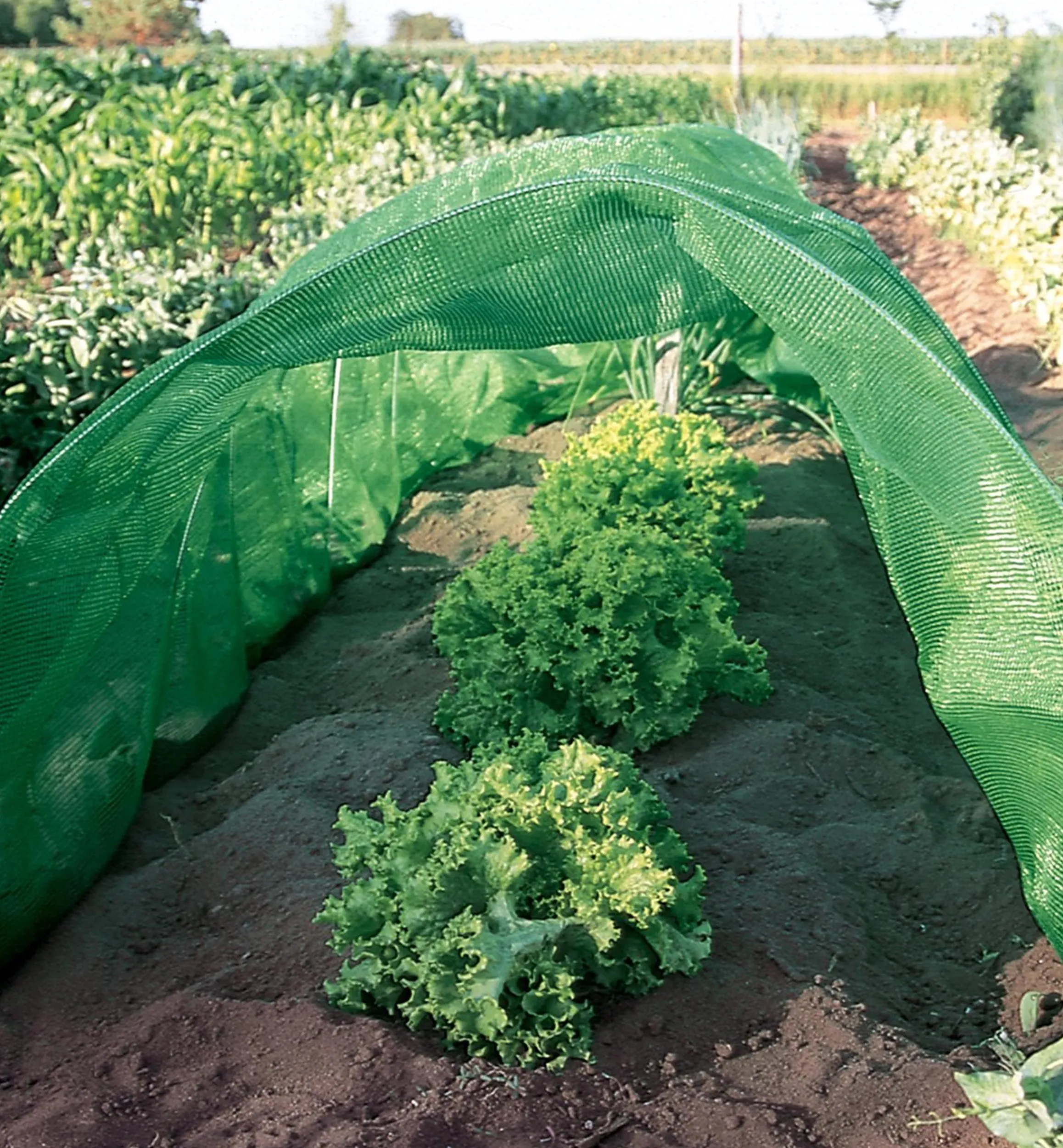Lee Valley Plant Protection>Shade Cloth