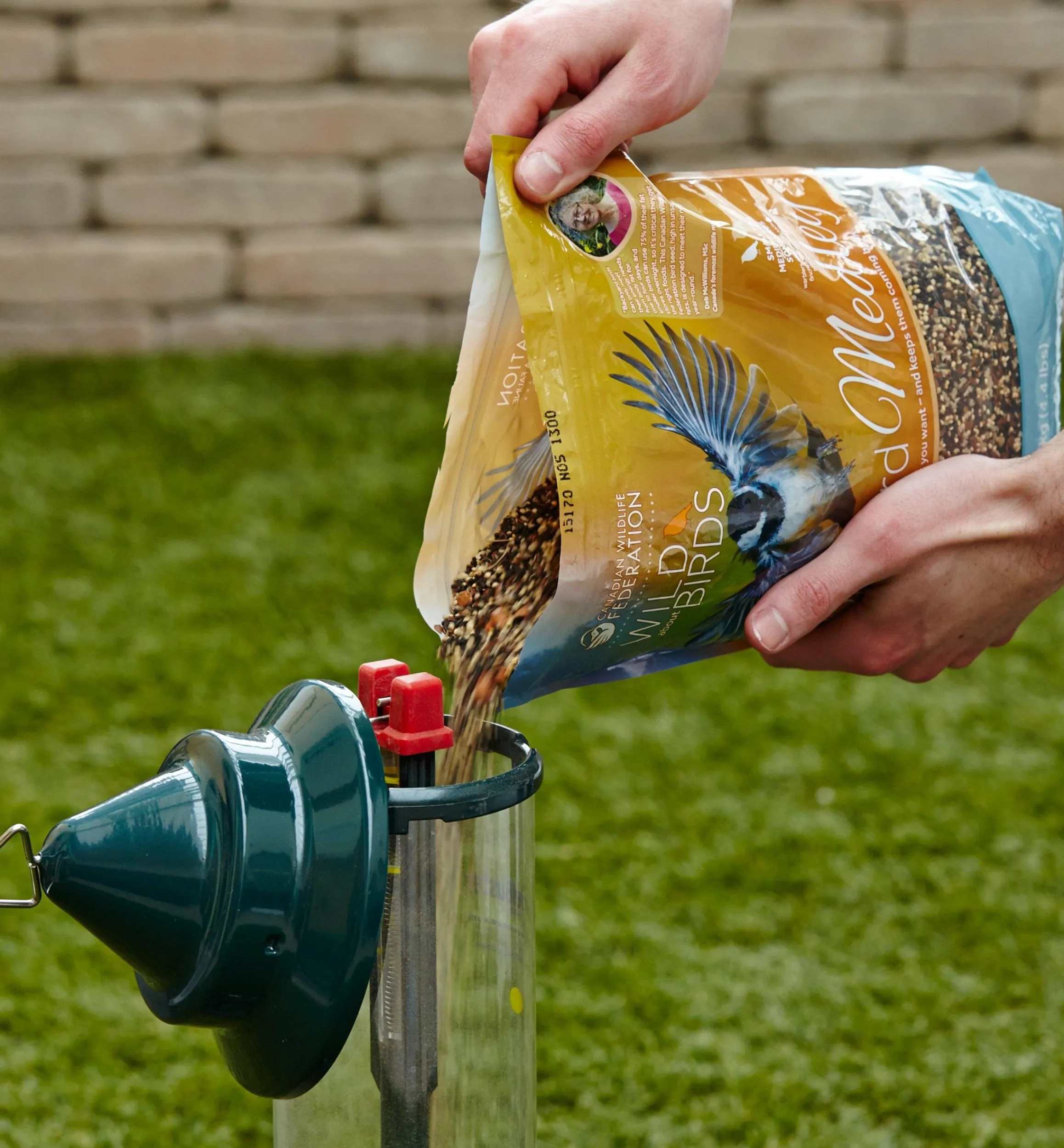 Lee Valley Birding>Songbird Seed