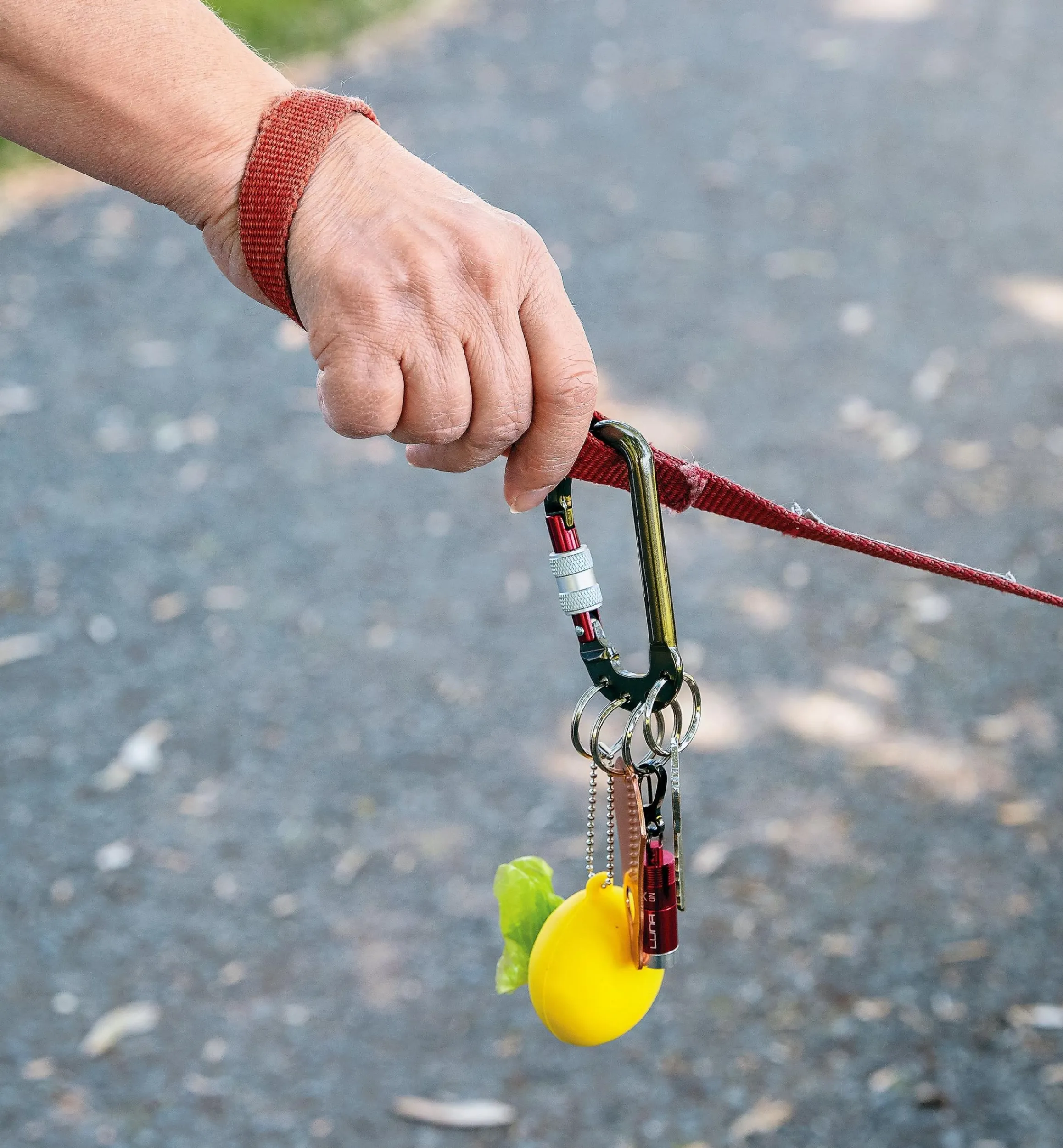 Lee Valley Storage & Organization>Split-Ring Carabiners