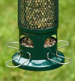 Lee Valley Birding>Squirrel Buster Standard Bird Feeder