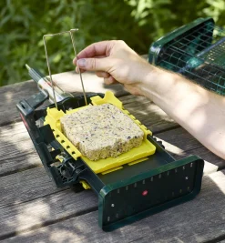 Lee Valley Birding>Squirrel Buster Suet Feeder