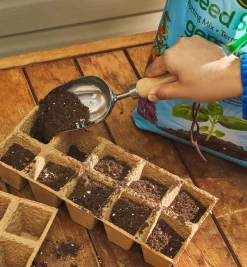 Lee Valley Indoor Gardening>Stainless-Steel Mini Scoop