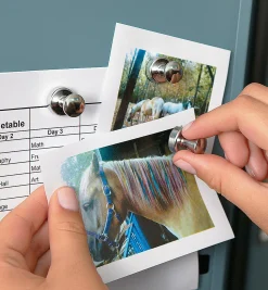 Lee Valley Magnets|Magnets><noscript><img width=