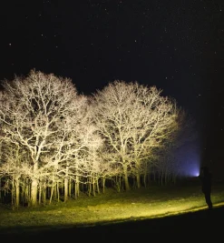 Lee Valley Lighting><noscript><img width=