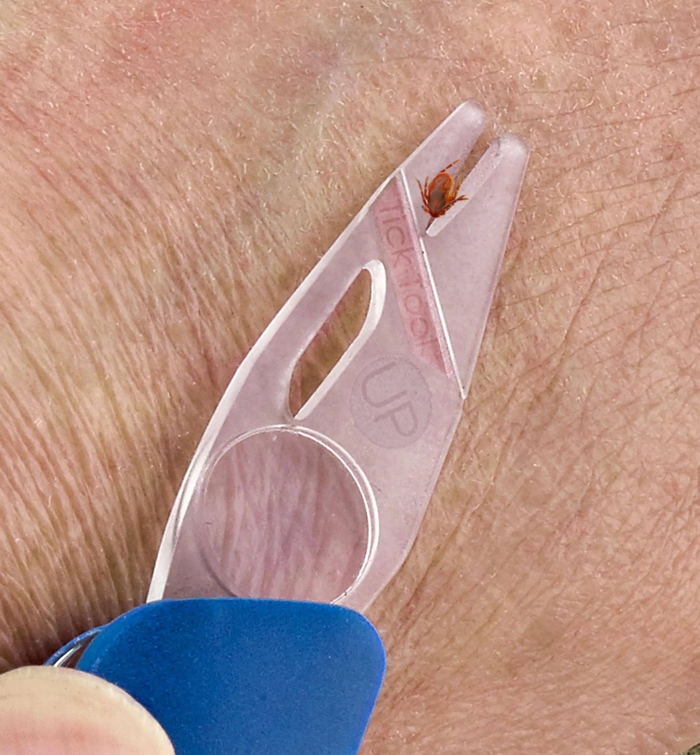 Lee Valley Hand Tools>Swiss Multi-Tool Tick Remover