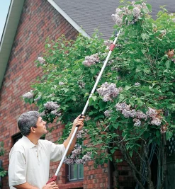 Lee Valley Pruners>Telescoping Long-Arm Pruner