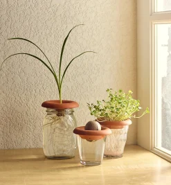 Lee Valley Propagation>Terra Cotta Seed Sprouters