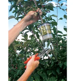 Lee Valley Propagation>The Rooter Pot