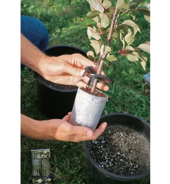 Lee Valley Propagation><noscript><img width=