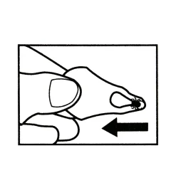 Lee Valley Pest Control><noscript><img width=