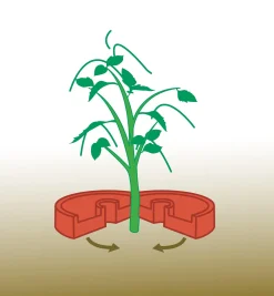 Lee Valley Weeding><noscript><img width=