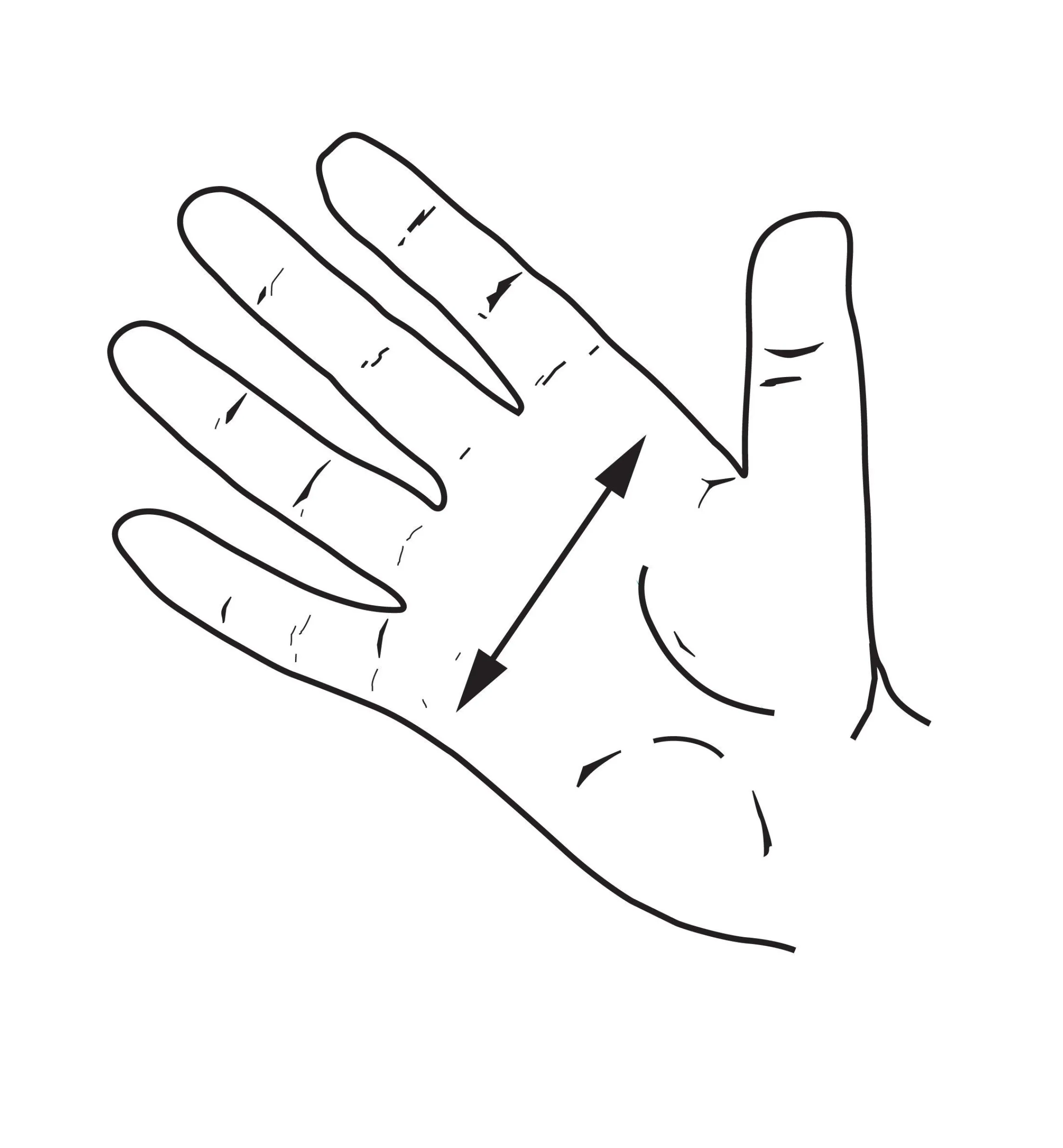 Lee Valley Planes>Totes For Veritas Custom Bench Planes