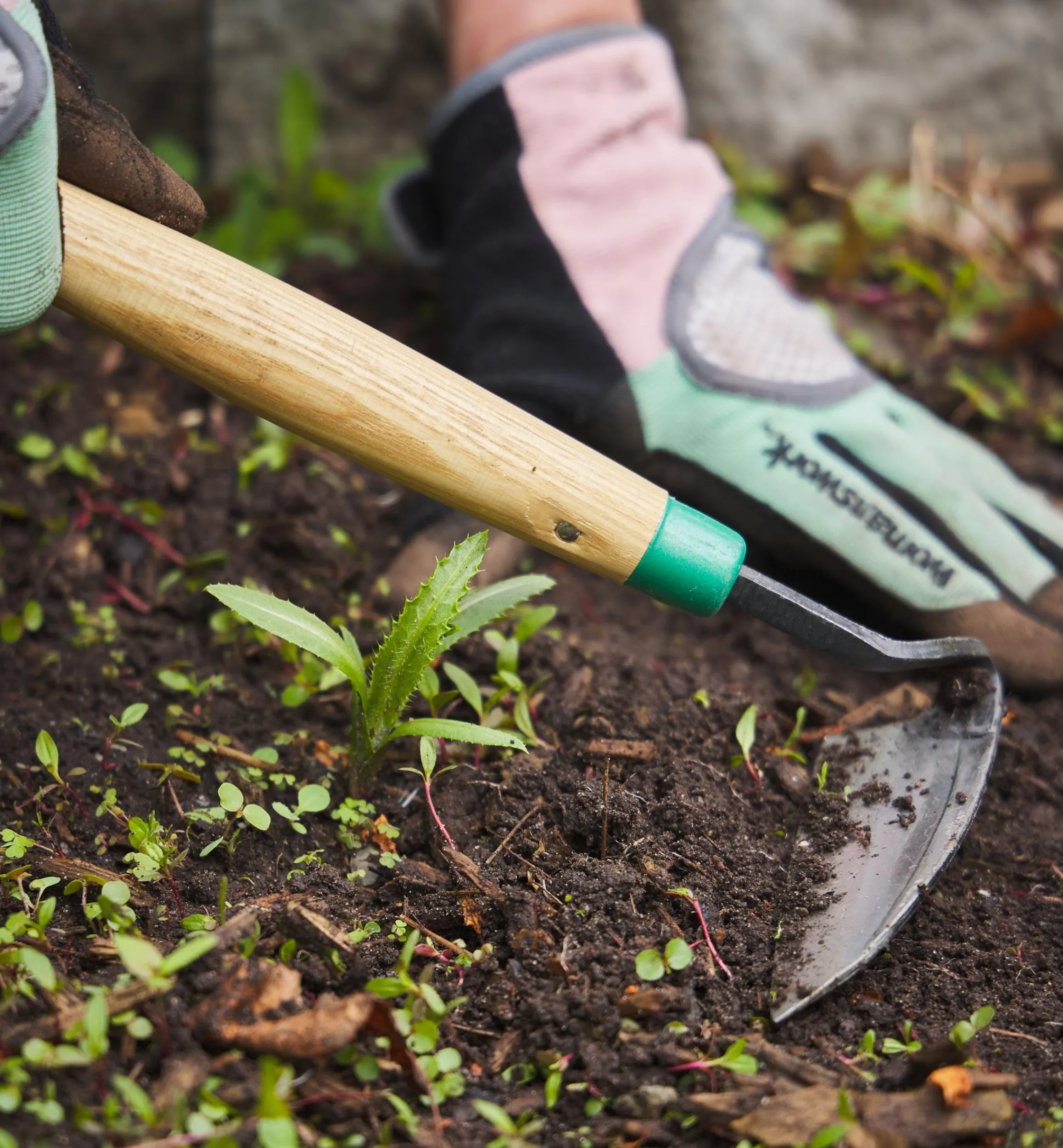 Lee Valley Weeding>Traditional Japanese Weeder