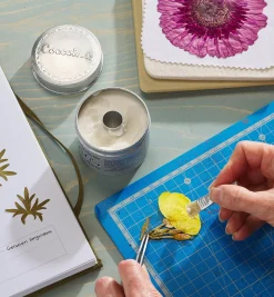 Lee Valley Supplies>Traditional Paste Glue