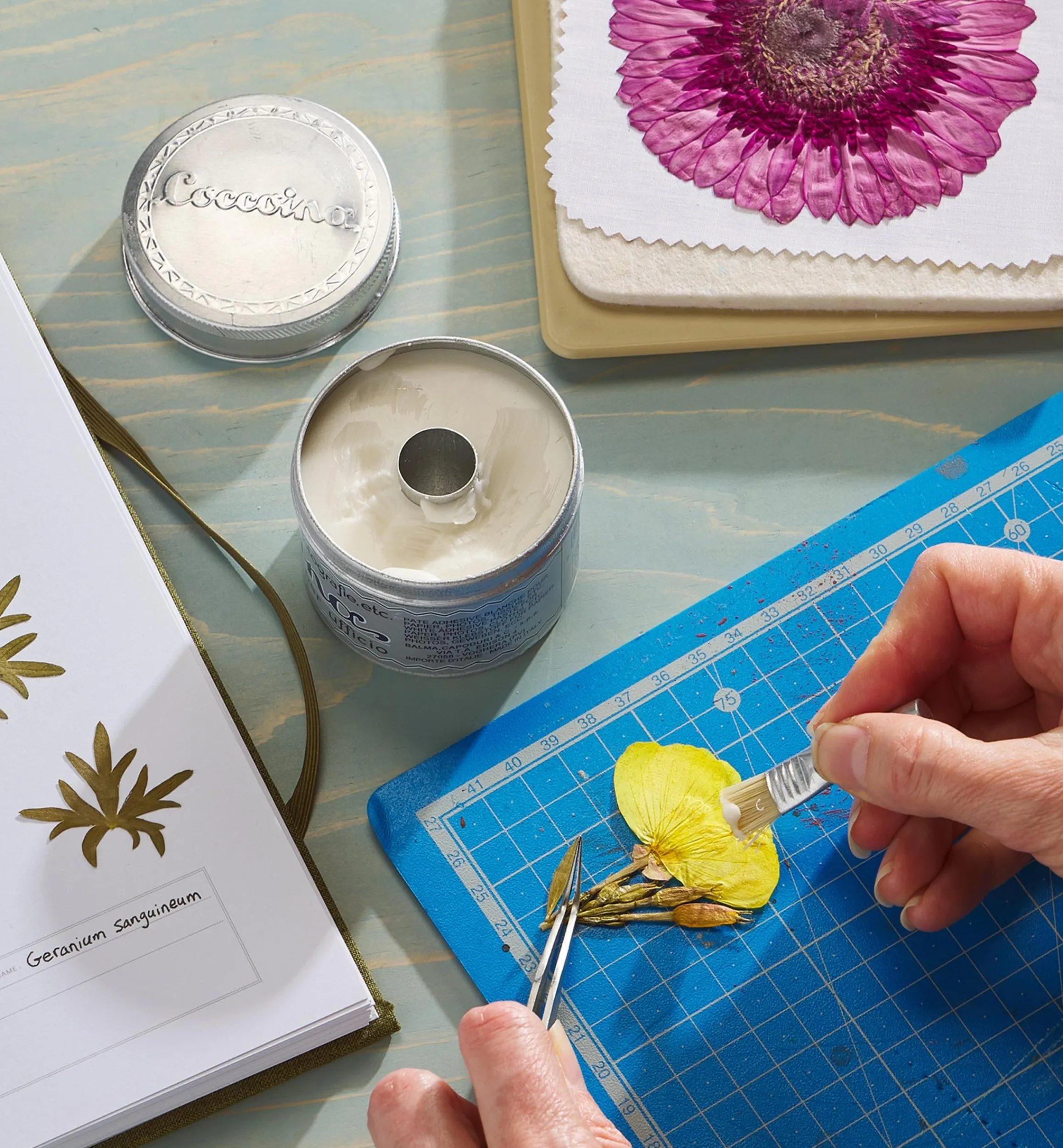 Lee Valley Supplies>Traditional Paste Glue