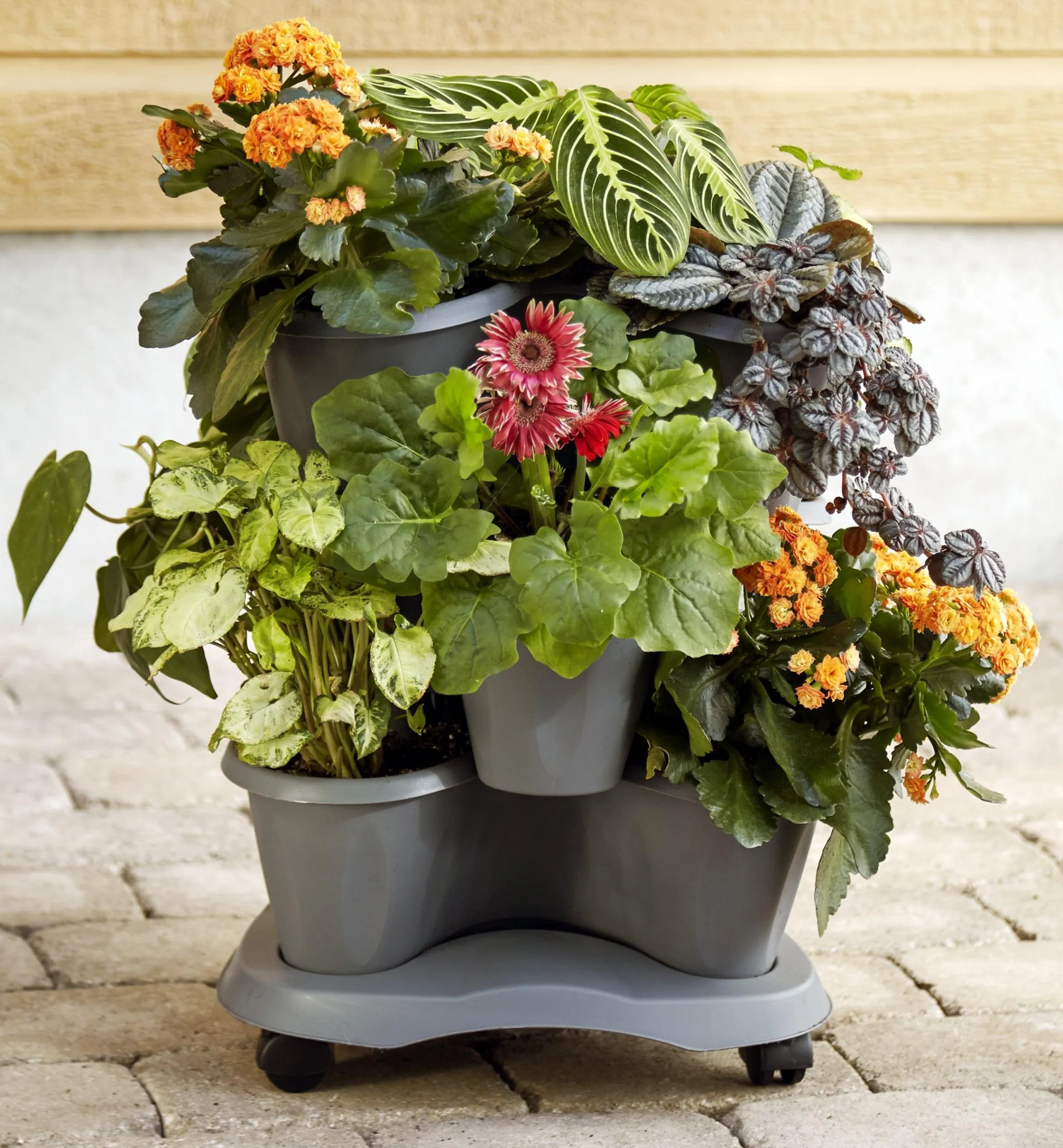 Lee Valley Container Gardening>Triple Planter