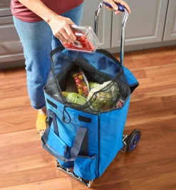 Lee Valley Storage & Organization>Ultimate Carryall