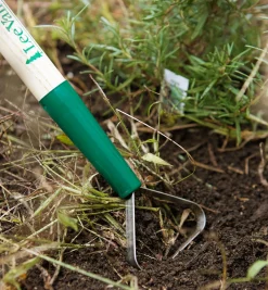 Lee Valley Weeding><noscript><img width=