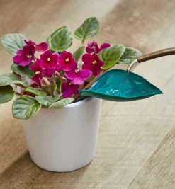 Lee Valley Indoor Gardening>Watering Leaves