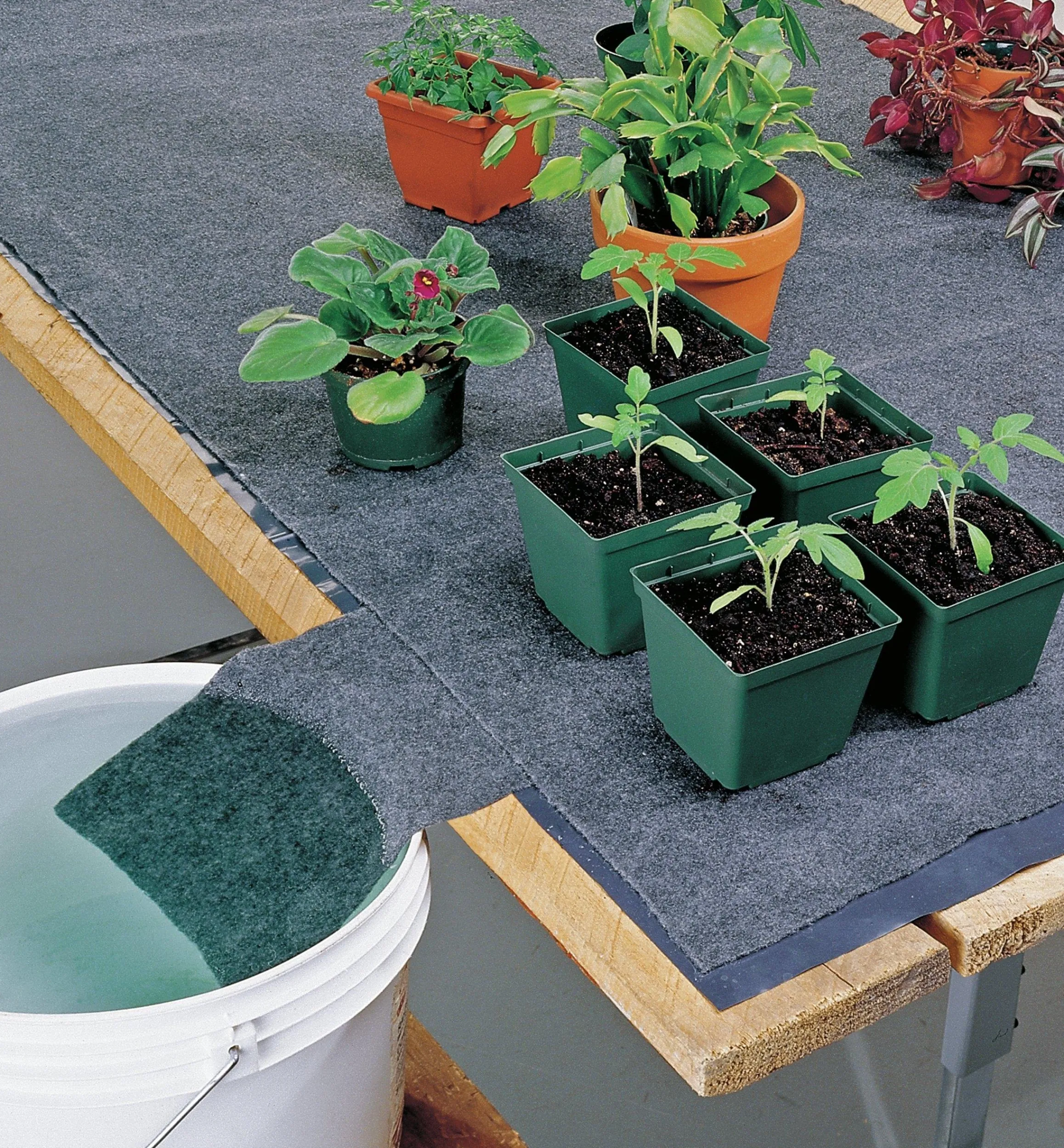Lee Valley Indoor Gardening>Watering Mat