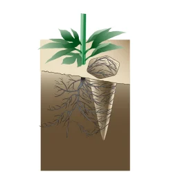 Lee Valley Indoor Gardening><noscript><img width=