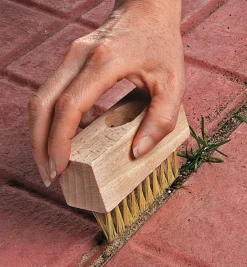 Lee Valley Garden Care>Weed Brush