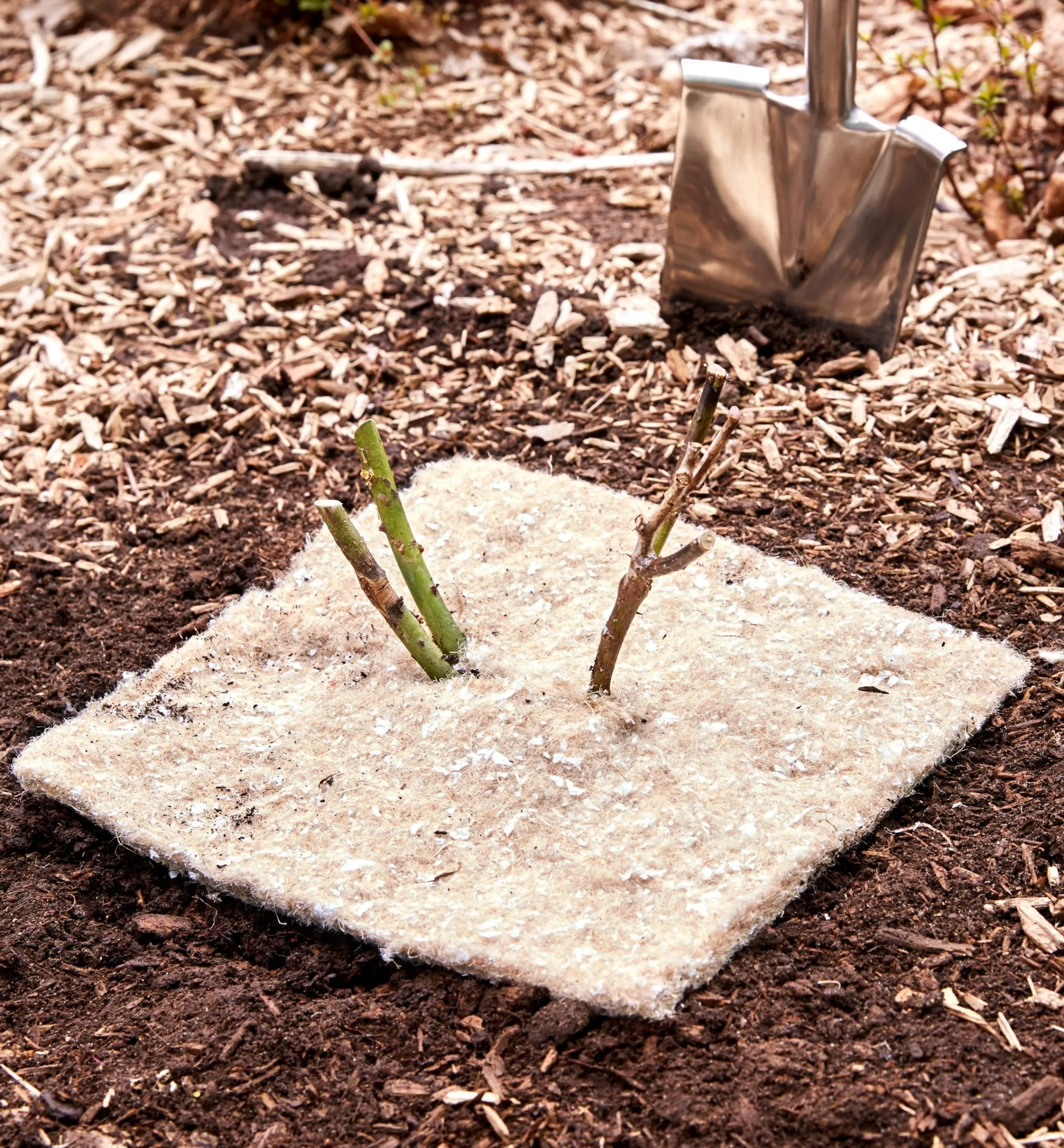 Lee Valley Weeding>Weed Suppression Squares