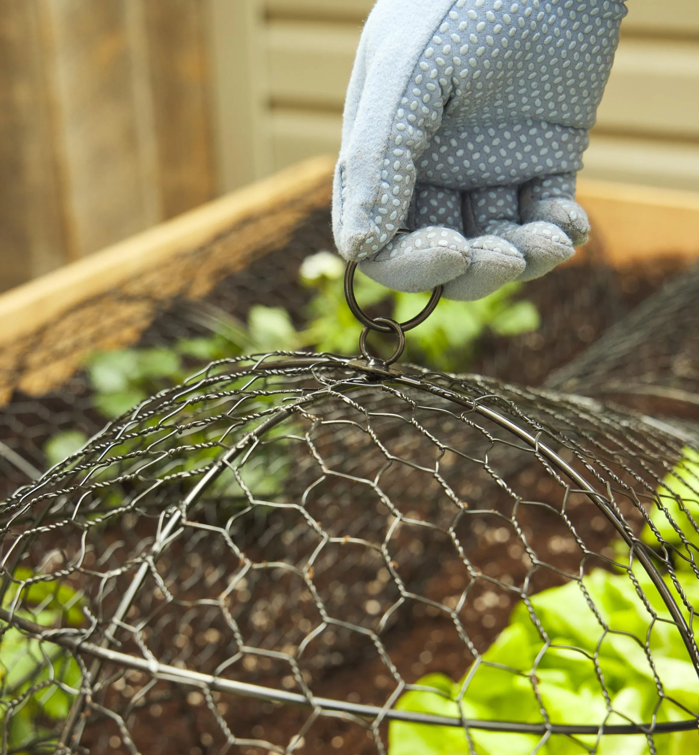 Lee Valley Plant Protection>Wire Plant Protectors