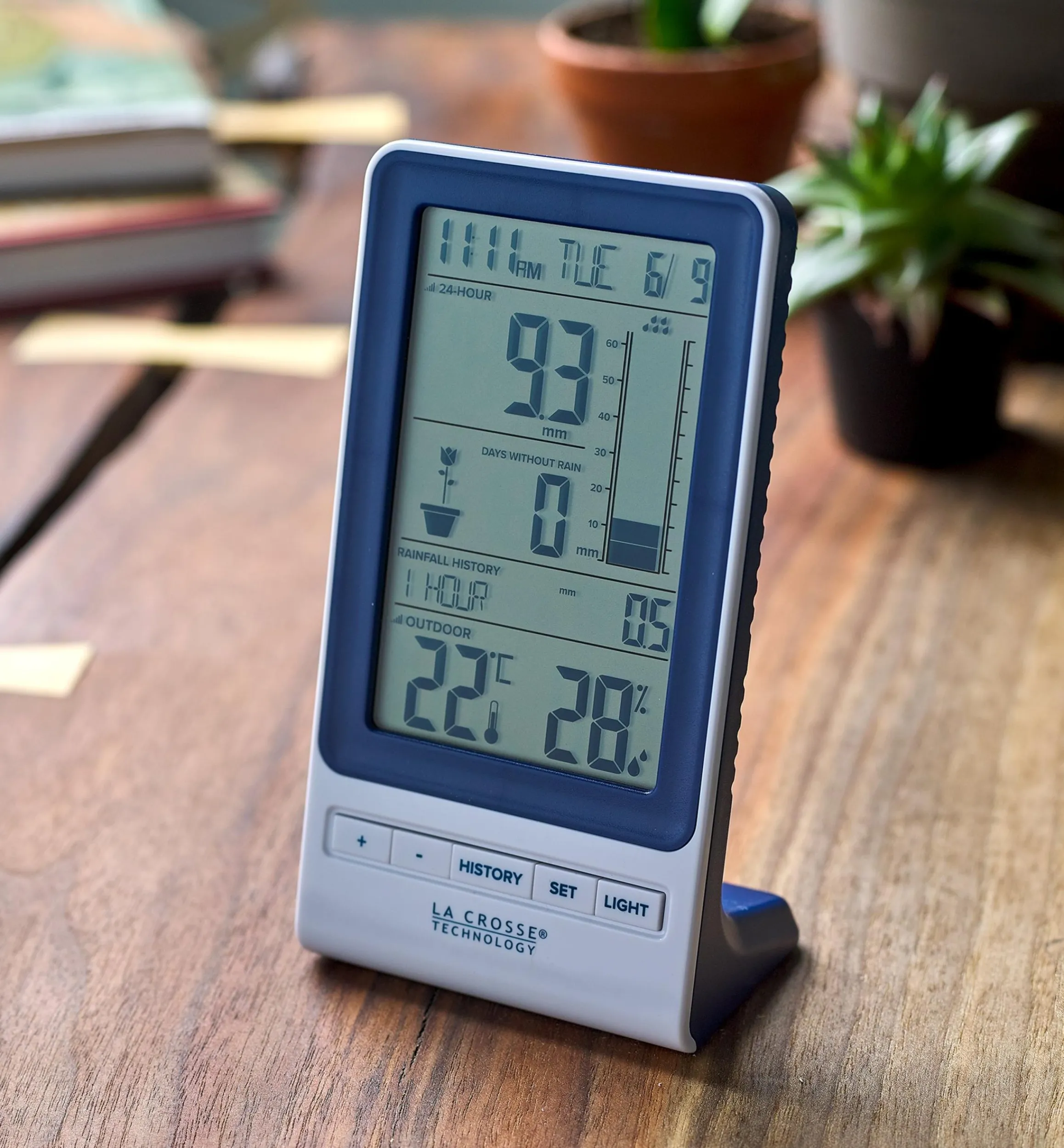 Lee Valley Weather Measurement>Wireless Rain Station