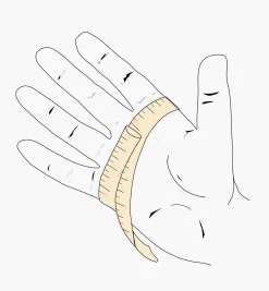 Lee Valley Gloves><noscript><img width=