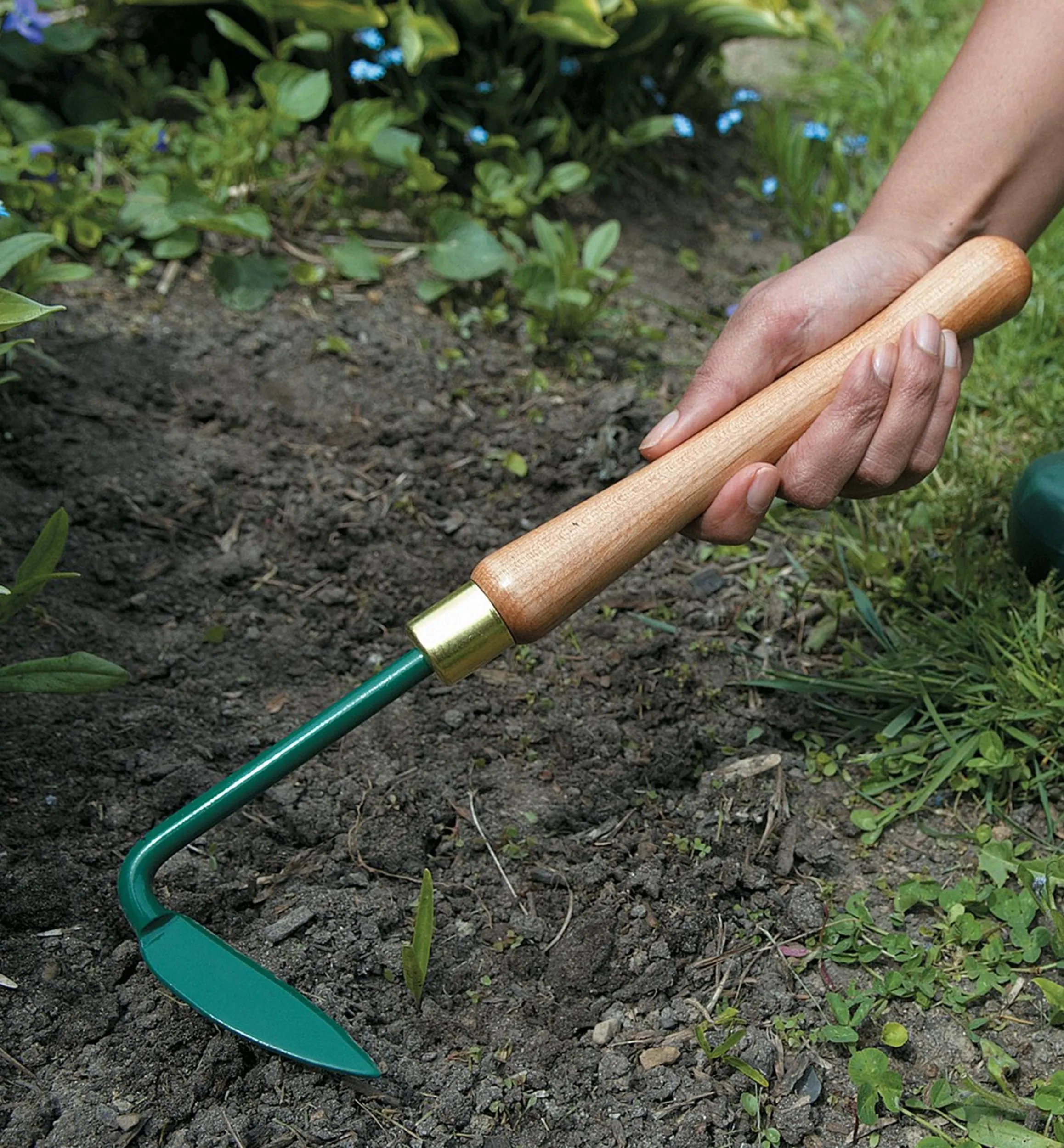 Lee Valley Weeding>Yankee Weeder